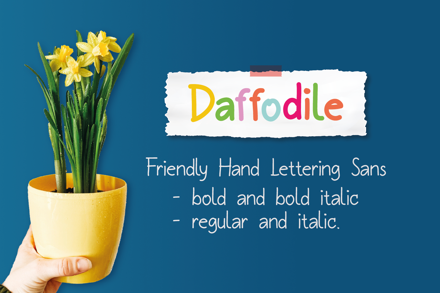Daffodile